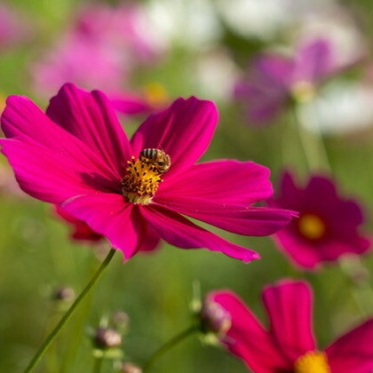 堀田佳資が撮影したその他の写真