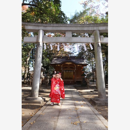 Kan Suzuki  photographyが出張撮影した家族写真, 植物, 七五三が写ったエンゲージメントフォトの写真