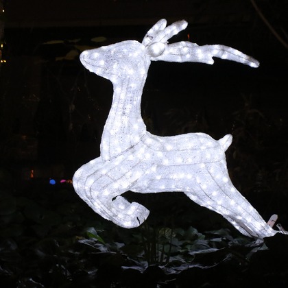 ＮＫ フォトエージェンシーが撮影したその他の写真