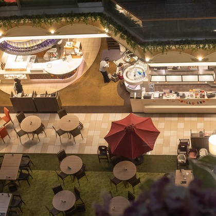 猫田晃広が撮影した「:albumName」の写真