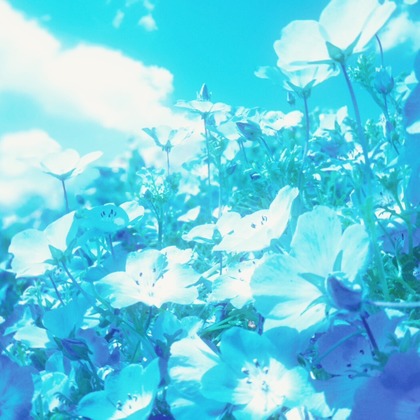 渡邉　麟が撮影した「:albumName」の写真