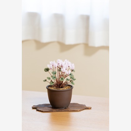 Herbest Productsが撮影したウェディングや家族、ビジネスの写真