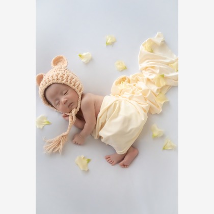 鈴木美咲が撮影した「:albumName」の写真