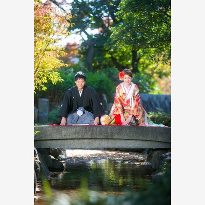 ピュアアーティス(小島 靖雄)が撮影した「:albumName」の写真