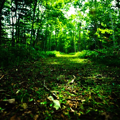 高木勇斗が撮影したその他の写真