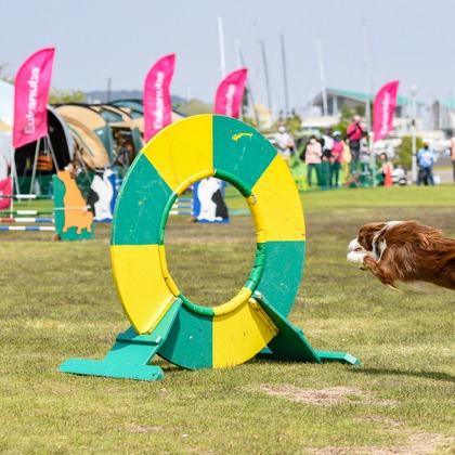 スタジオファンタスが撮影した「:albumName」の写真