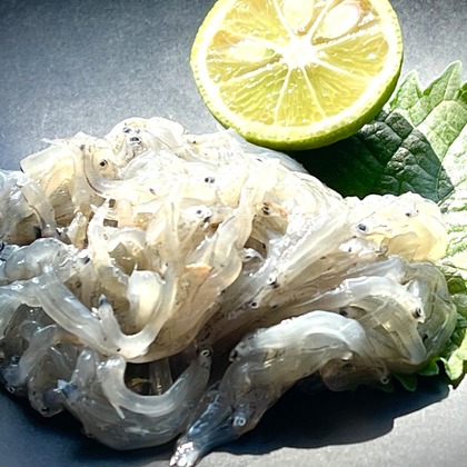 スタジオエゴイストが撮影した「:albumName」の写真