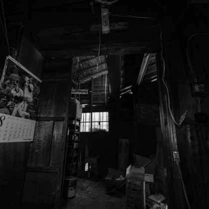 スタジオファンタスが撮影した「:albumName」の写真