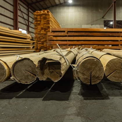 武内ピクチャーズが撮影したウェディングや家族、ビジネスの写真