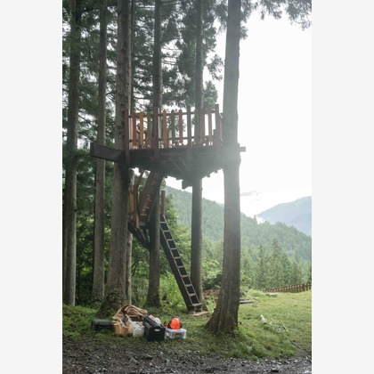 山﨑さと子が撮影したウェディングや家族、ビジネスの写真