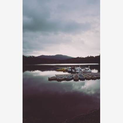 いんかが撮影したその他の写真