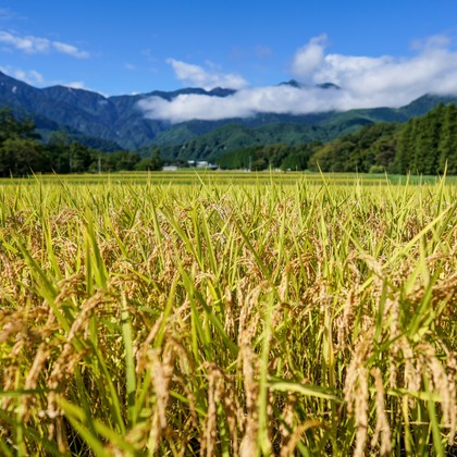 KurickMarry結婚相談所 丨 栗山　稔が撮影した「:albumName」の写真