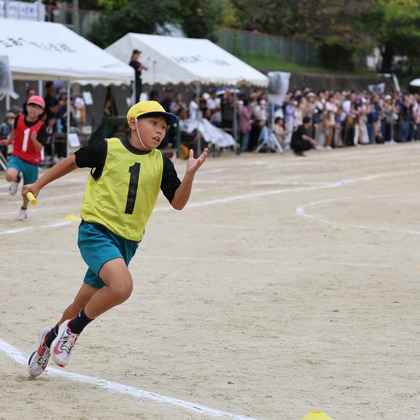 えむあんりみてっどが撮影した「:albumName」の写真