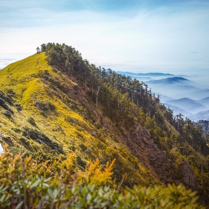 大玠攝影が撮影したウェディングや家族、ビジネスの写真