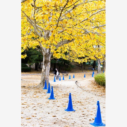 工藤が撮影した「:albumName」の写真