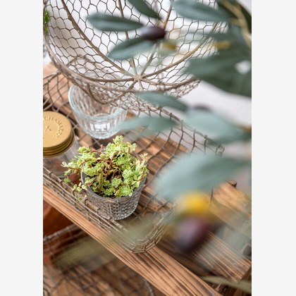 Yoppegraphy Photographic Serviceが撮影した「:albumName」の写真