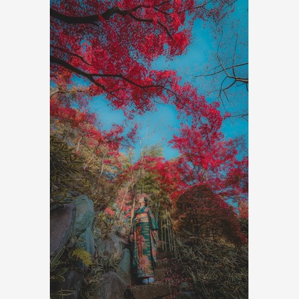 株式会社Neo-Smile 「locationbreeze」高橋 徹が出張撮影した臨江裁判所, Tooruokisan Zuigan Temple, フィクスチャなどが写った「記念写真」の家族写真