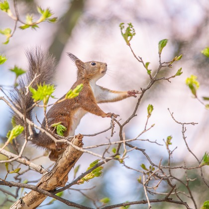 山口奈緒が撮影した「:albumName」の写真