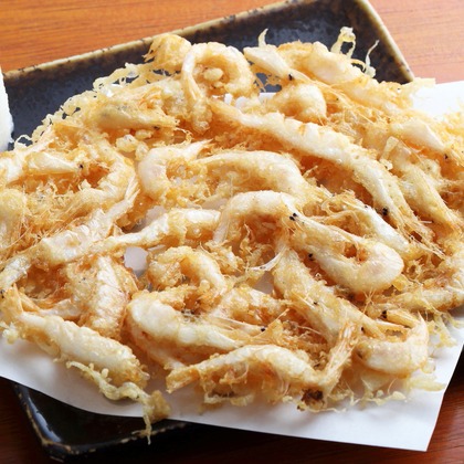 森安　照が撮影した「:albumName」の写真