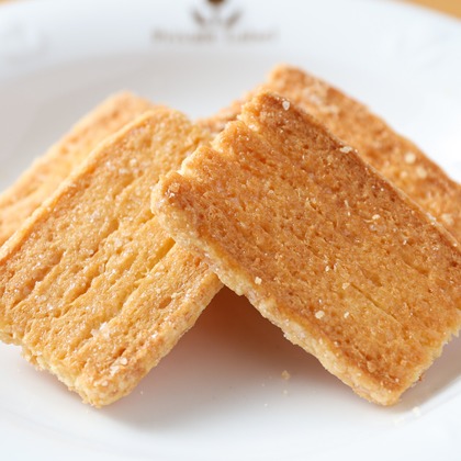 手塚大介が撮影した「:albumName」の写真