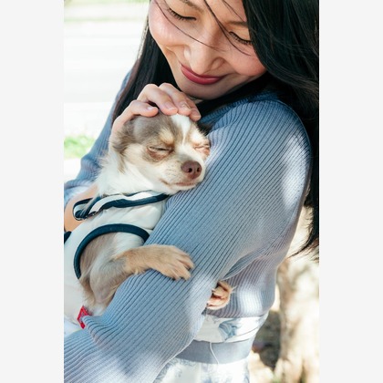 ポートレート沖縄が撮影した「:albumName」の写真