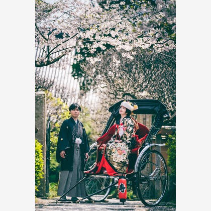 ヨッシ～が撮影した「:albumName」の写真