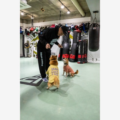 吉田佳央が撮影した「DOG SHOOTING」の写真