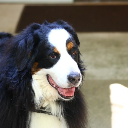 TSD officeが撮影した「:albumName」の写真