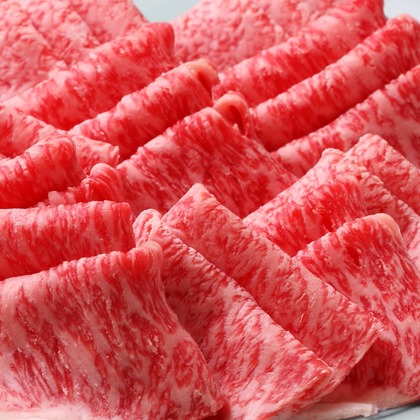 森安　照が撮影した「:albumName」の写真