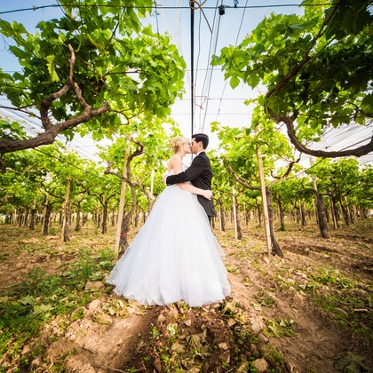 Alberto Orrú が撮影した「:albumName」の写真