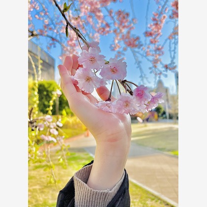 Takeuchi Shunsukeが撮影したその他の写真