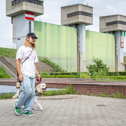 吉田佳央が撮影した「DOG SHOOTING」の写真