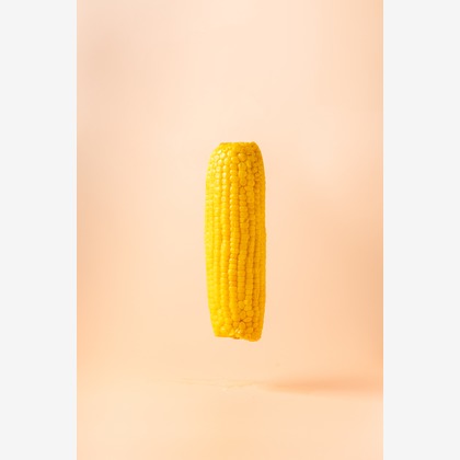 Hiroが撮影した「スタジオ、出張撮影」の写真