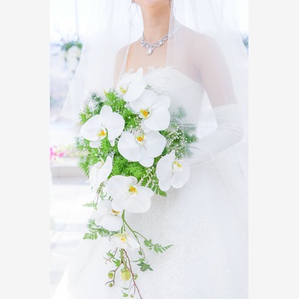 Photo of :albumName taken by N.YUUSUKE Photographer