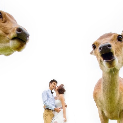 Photo of :albumName taken by 2 of us photography