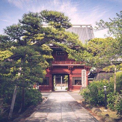 Sunstore 三條康貴が撮影したウェディングや家族、ビジネスの写真