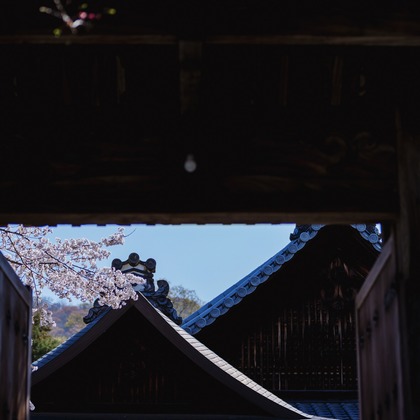 kiharu&photoが撮影した「:albumName」の写真