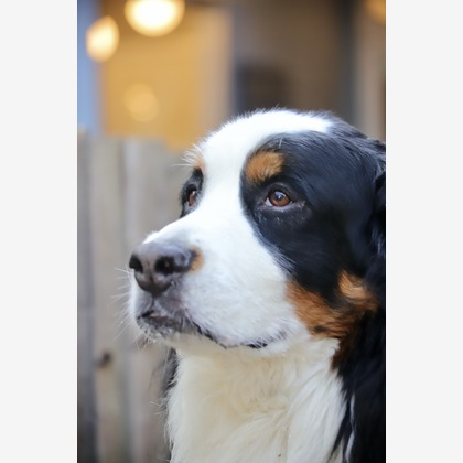 TSD officeが撮影した「:albumName」の写真