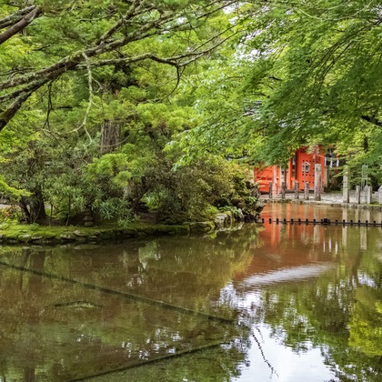 フォトスタジオ　ちっくたっくが撮影したその他の写真