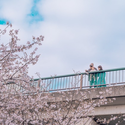 MIELQAが撮影した「:albumName」の写真