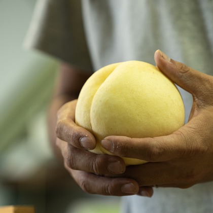 umimoyamamoworksが撮影した「農家さん取材写真」の写真