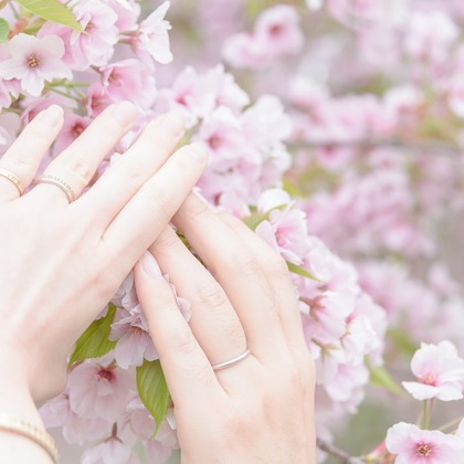 ライトハウスフォトが撮影したウェディングや家族、ビジネスの写真