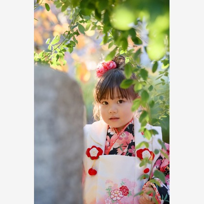 ナカジマヒロユキが撮影した「:albumName」の写真