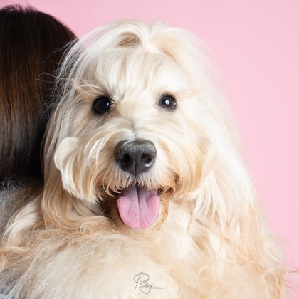 Ray Yamaguchiが撮影した「:albumName」の写真