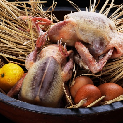 森安　照が撮影した「:albumName」の写真