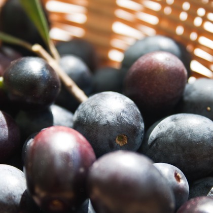 小浜守也が撮影した料理撮影の写真