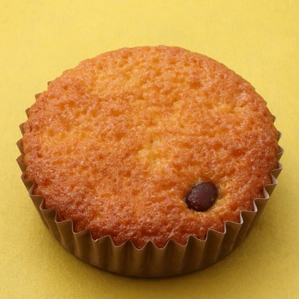 森安　照が撮影した「:albumName」の写真