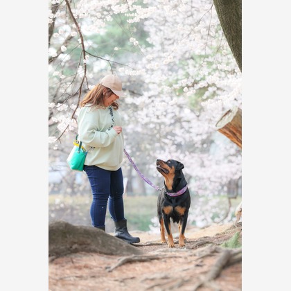 株式会社Neo-Smile 「locationbreeze」高橋 徹が出張撮影した「ペット」の家族写真
