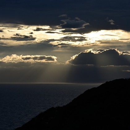 あまかど スタジオが撮影したその他の写真