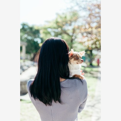 ポートレート沖縄が撮影した「:albumName」の写真